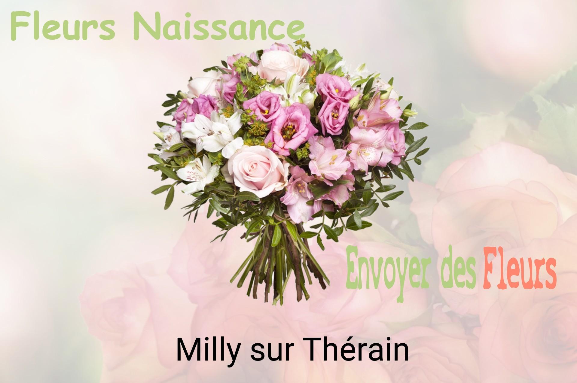 Bouquet de fleurs de naissance livré à Milly-sur-Thérain